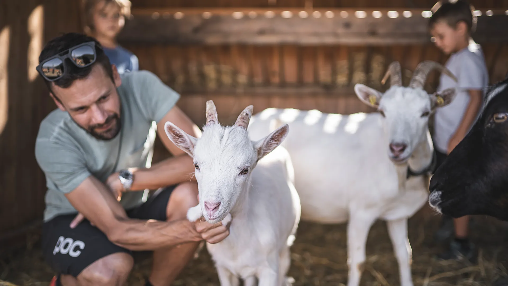 Father and children pet goats in the barn of a farm in Ahrntal