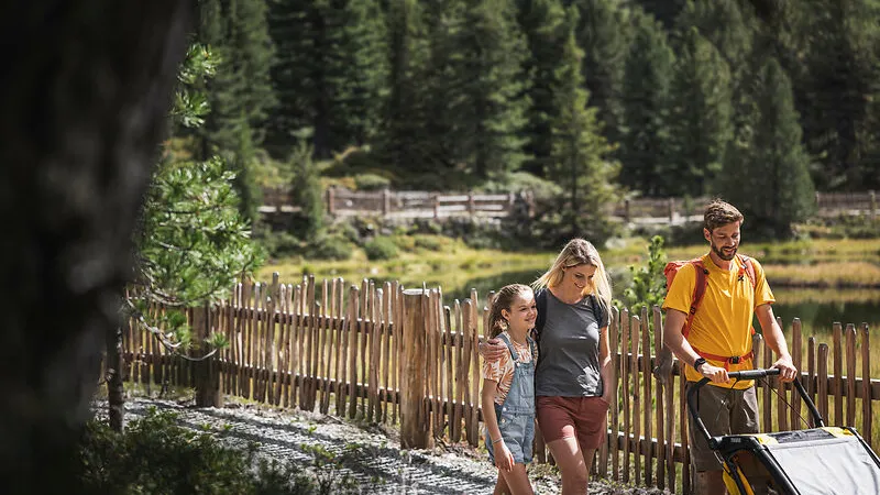 Familie wandert mit Kinderwagen entlang Holzzaun durch Lärchenwald am Bergsee im Ahrntal
