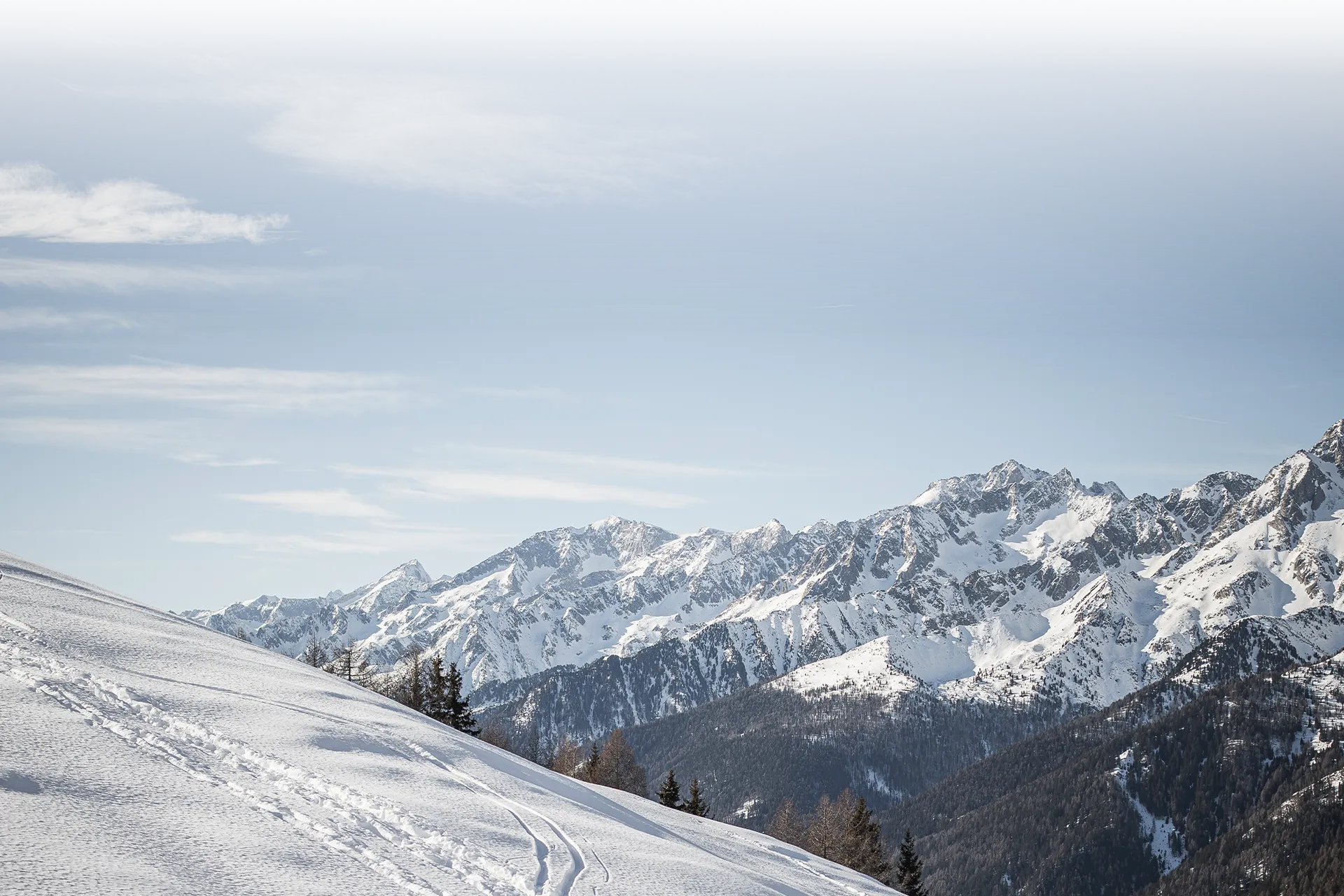 Panoramablick auf die verschneiten Zillertaler Alpen im Ahrntal mit Skitourenspuren im Tiefschnee