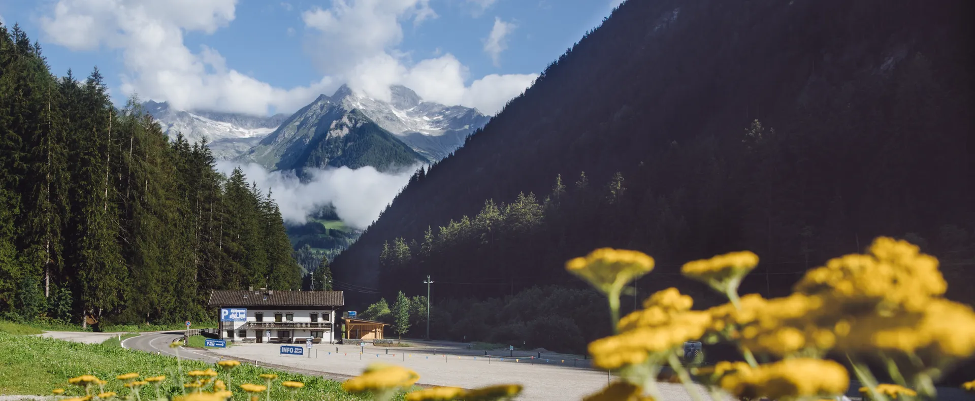 Talstation der Skiworld Ahrntal im Sommer mit gelben Bergblumen und Alpenpanorama