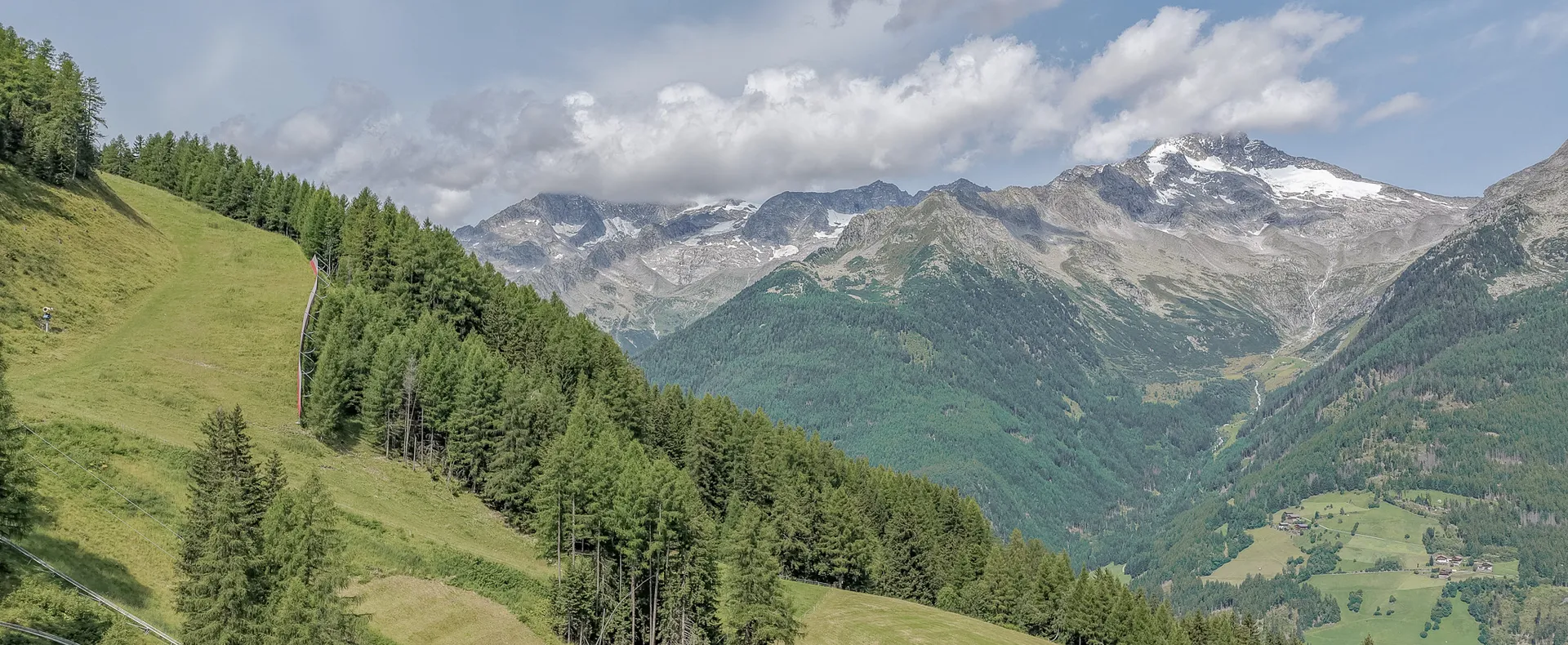 Sommerwiesen und Wald am Klausberg mit Gletscherpanorama der Zillertaler Alpen
