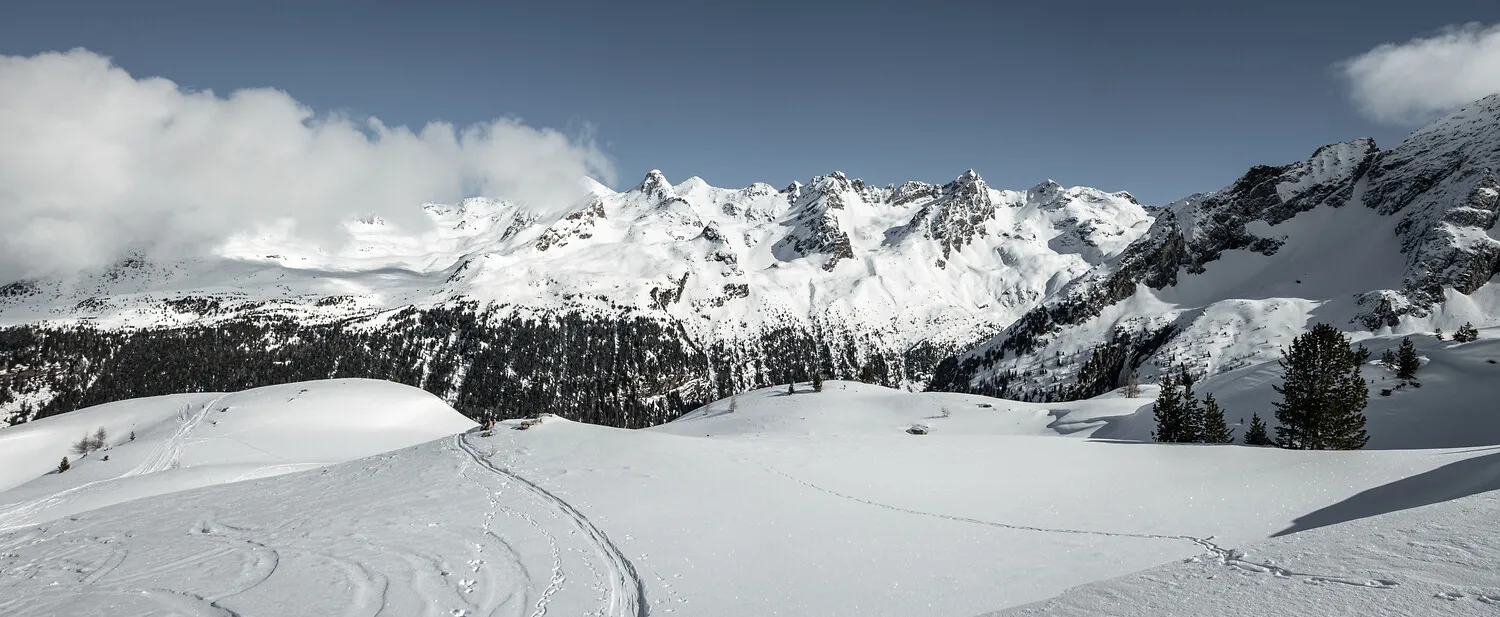 Unberührte Winterlandschaft mit Tiefschnee, Skispuren und Nadelwäldern in der Rieserfernergruppe im Ahrntal