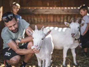 Vater und Kinder streicheln Ziegen im Stall eines Bauernhofs im Ahrntal