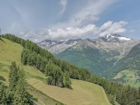 Sommerwiesen und Wald am Klausberg mit Gletscherpanorama der Zillertaler Alpen