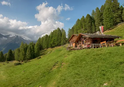 Rustikale Berghütte mit Südtiroler Fahne auf Sommerwiese im Ahrntal