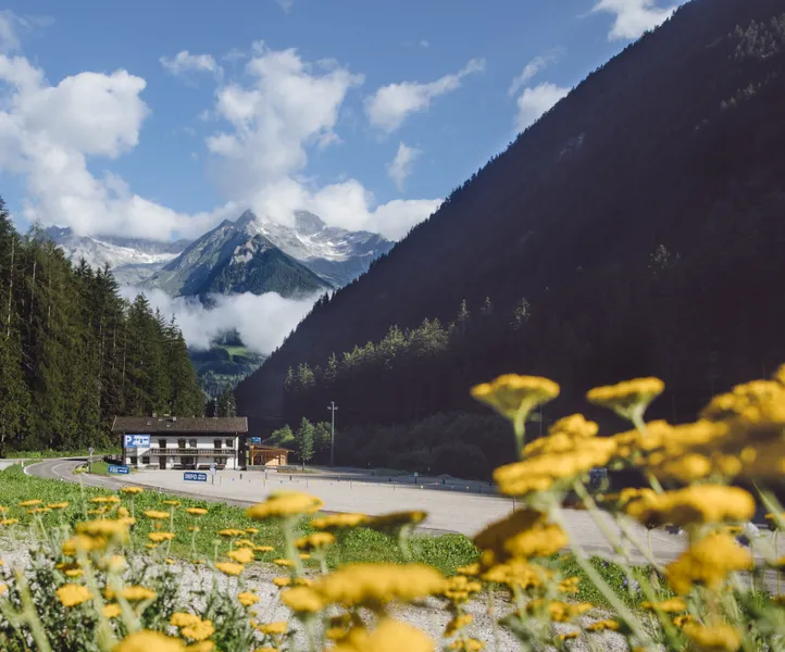 Talstation der Skiworld Ahrntal im Sommer mit gelben Bergblumen und Alpenpanorama