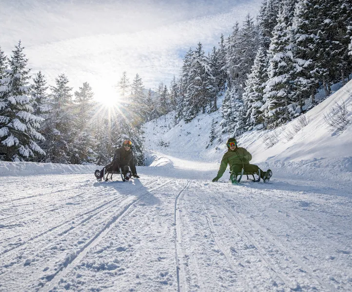 Two sledders racing through the snowy winter forest on the toboggan run in Ahrntal