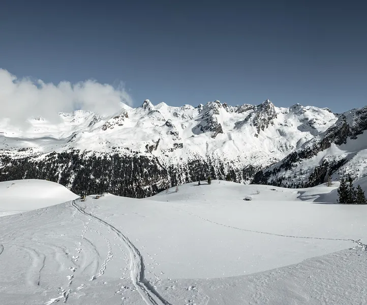 Unberührte Winterlandschaft mit Tiefschnee, Skispuren und Nadelwäldern in der Rieserfernergruppe im Ahrntal