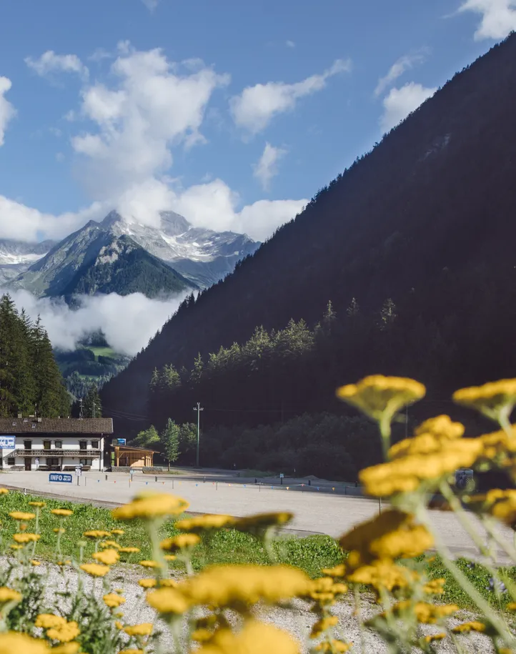 Talstation der Skiworld Ahrntal im Sommer mit gelben Bergblumen und Alpenpanorama