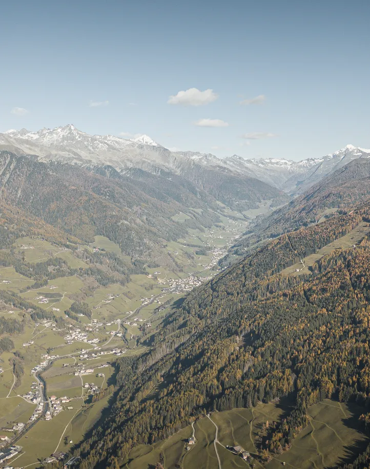 Drohnenaufnahme Ahrntal im Herbst mit goldenen Lärchenwäldern und Blick auf Zillertaler Alpen